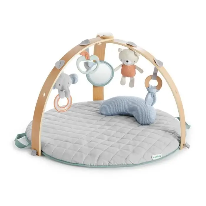 Ingenuity Cozy Spot Loamy Χαλάκι δραστηριοτήτων
