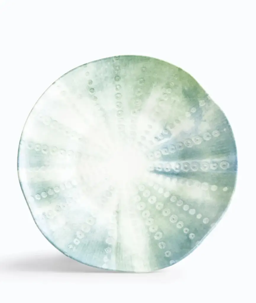 Axinos 28cm Dinner Plate Set of 6 - IONIA Porcelain