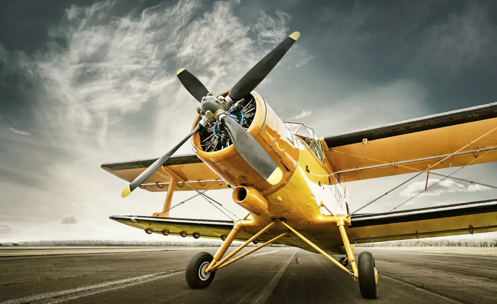 Φωτοταπετσαρία Antique Airplane