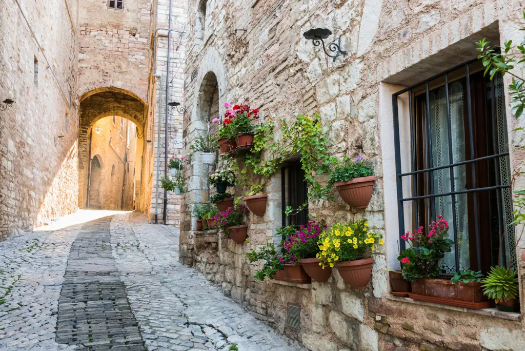 Φωτοταπετσαρία Italian Street